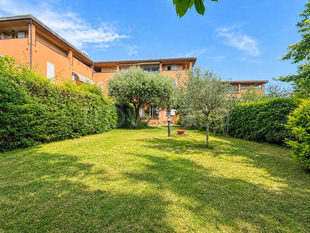 immagine annuncio 1 di 3