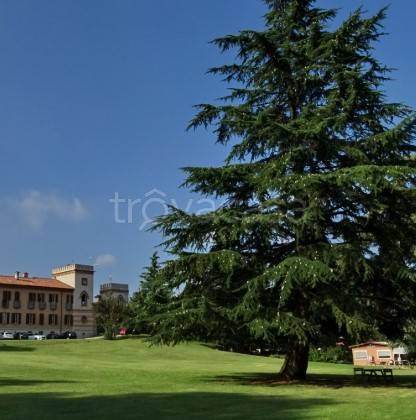 immagine annuncio 2 di 6