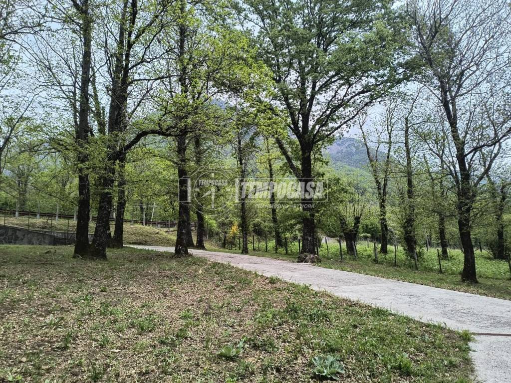 immagine annuncio 9 di 12