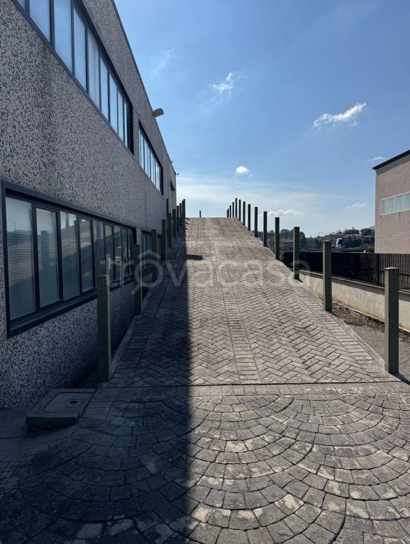 immagine annuncio 6 di 9