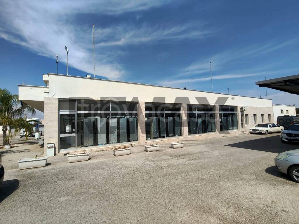 immagine annuncio 2 di 3