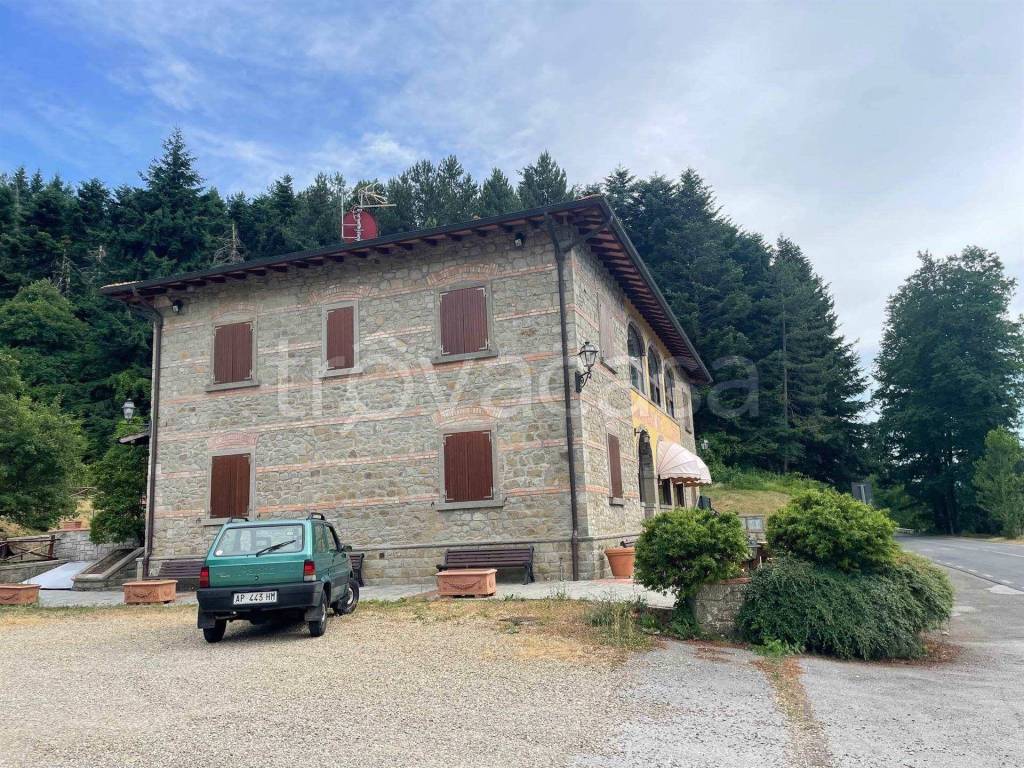 immagine annuncio 13 di 14