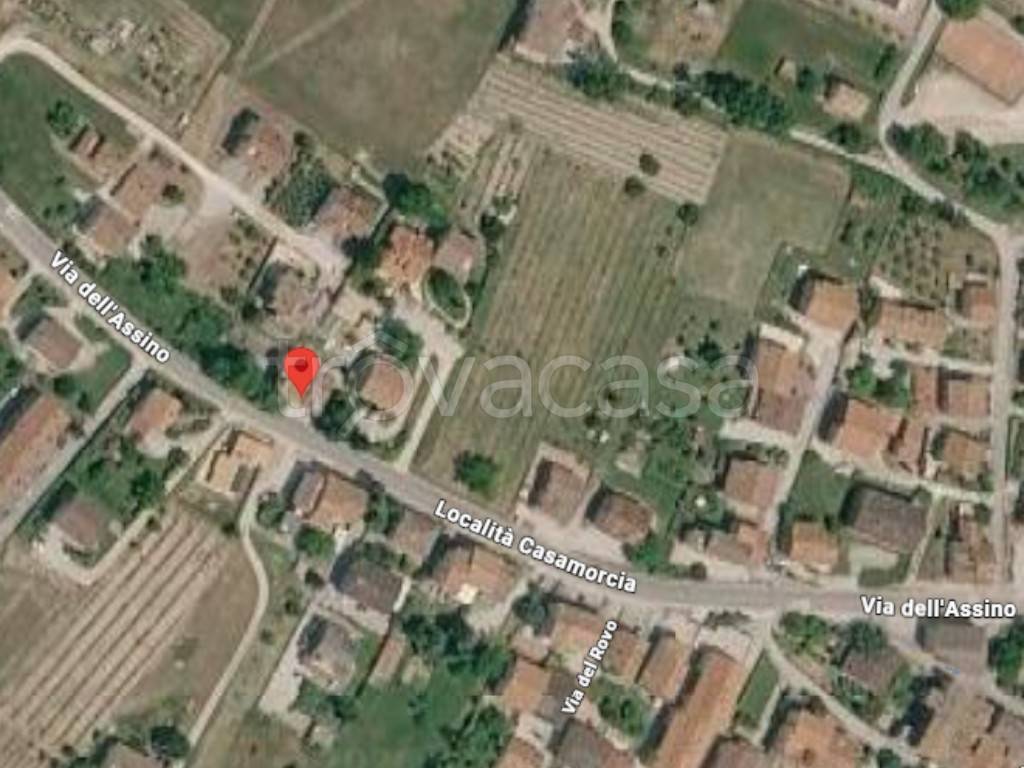 immagine annuncio 11 di 12