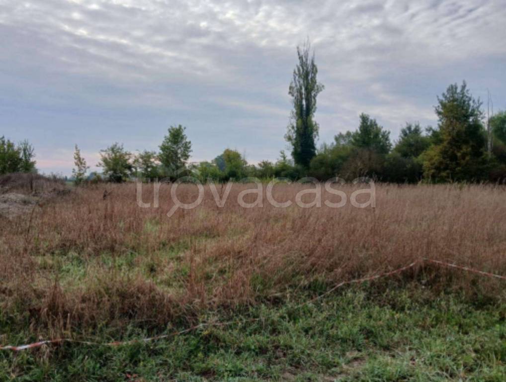 immagine annuncio 10 di 13