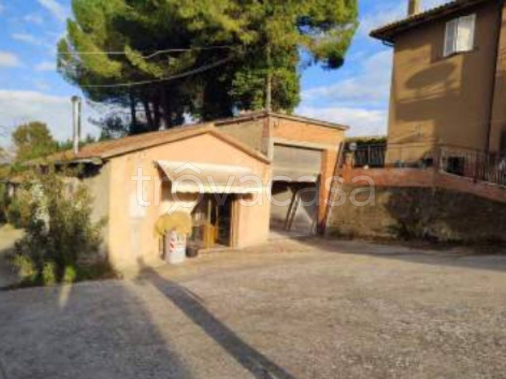 immagine annuncio 10 di 14