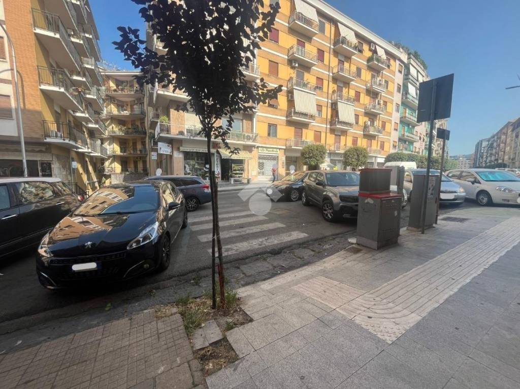 immagine annuncio 11 di 13