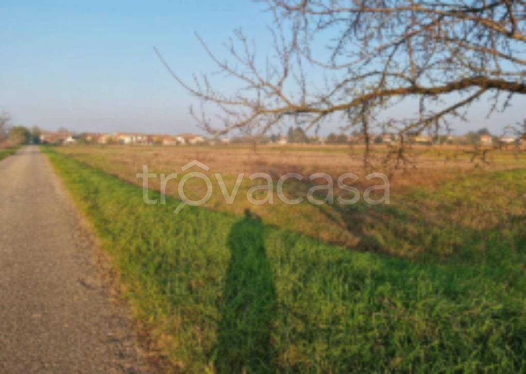 immagine annuncio 7 di 11