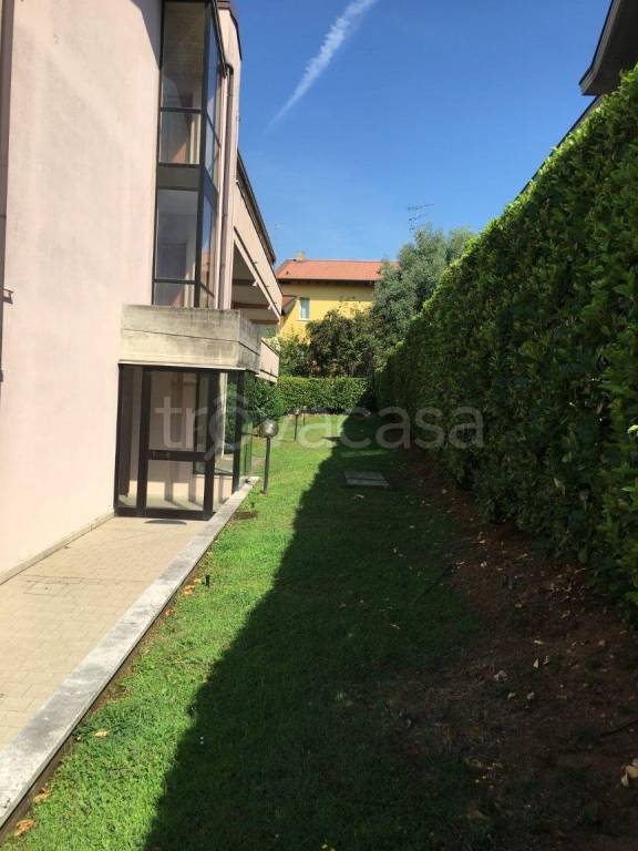 immagine annuncio 5 di 11