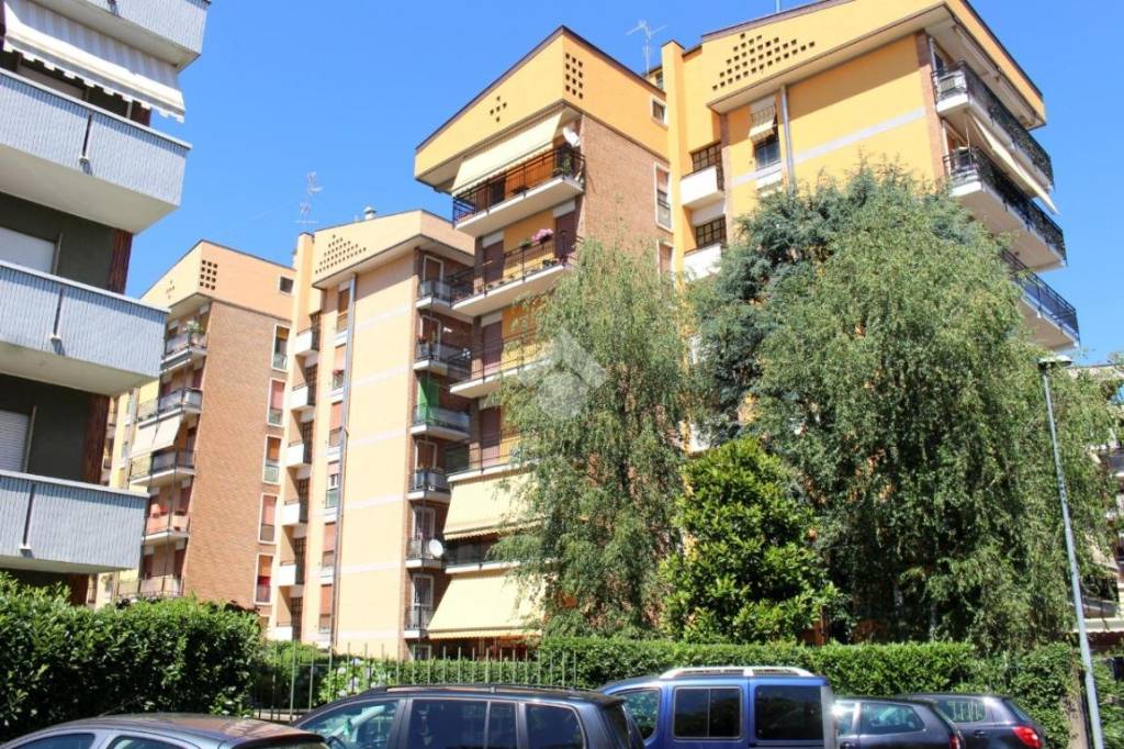immagine annuncio 14 di 15