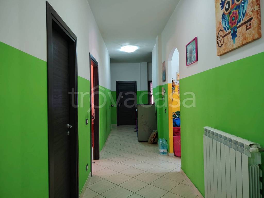 immagine annuncio 11 di 14