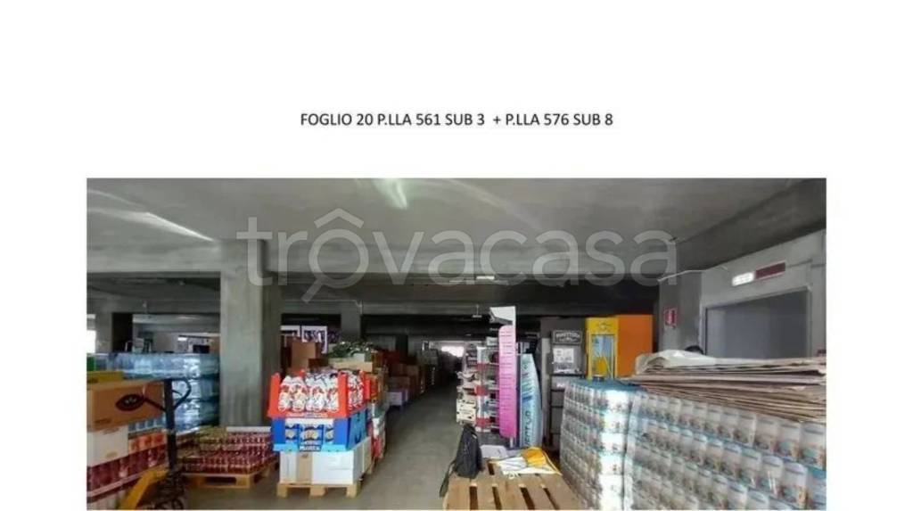 immagine annuncio 3 di 10