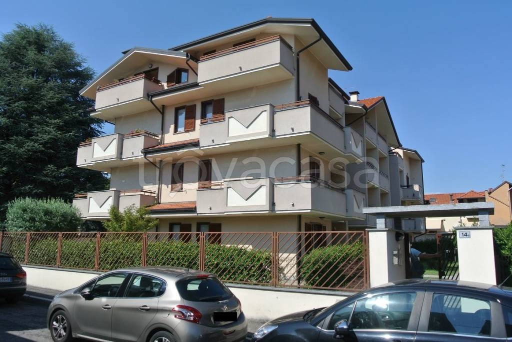 immagine annuncio 3 di 12