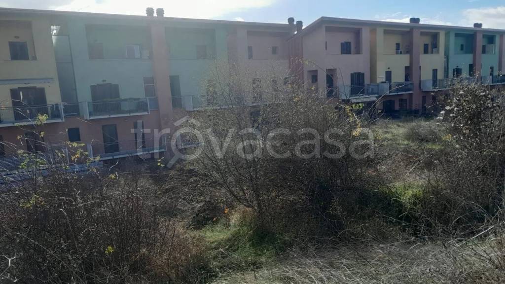immagine annuncio 2 di 4