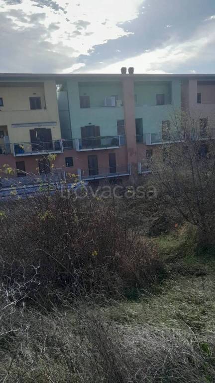 immagine annuncio 3 di 4