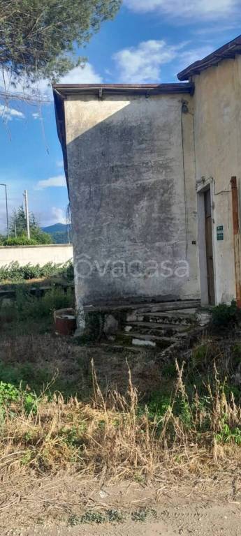 immagine annuncio 2 di 3