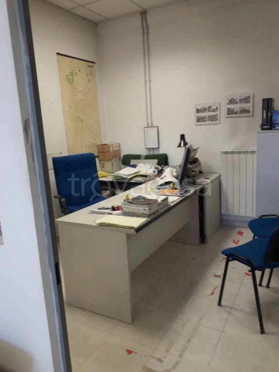 immagine annuncio 5 di 12