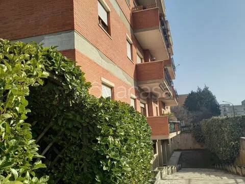 immagine annuncio 2 di 14