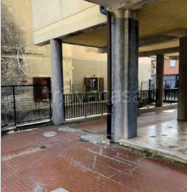 immagine annuncio 11 di 14