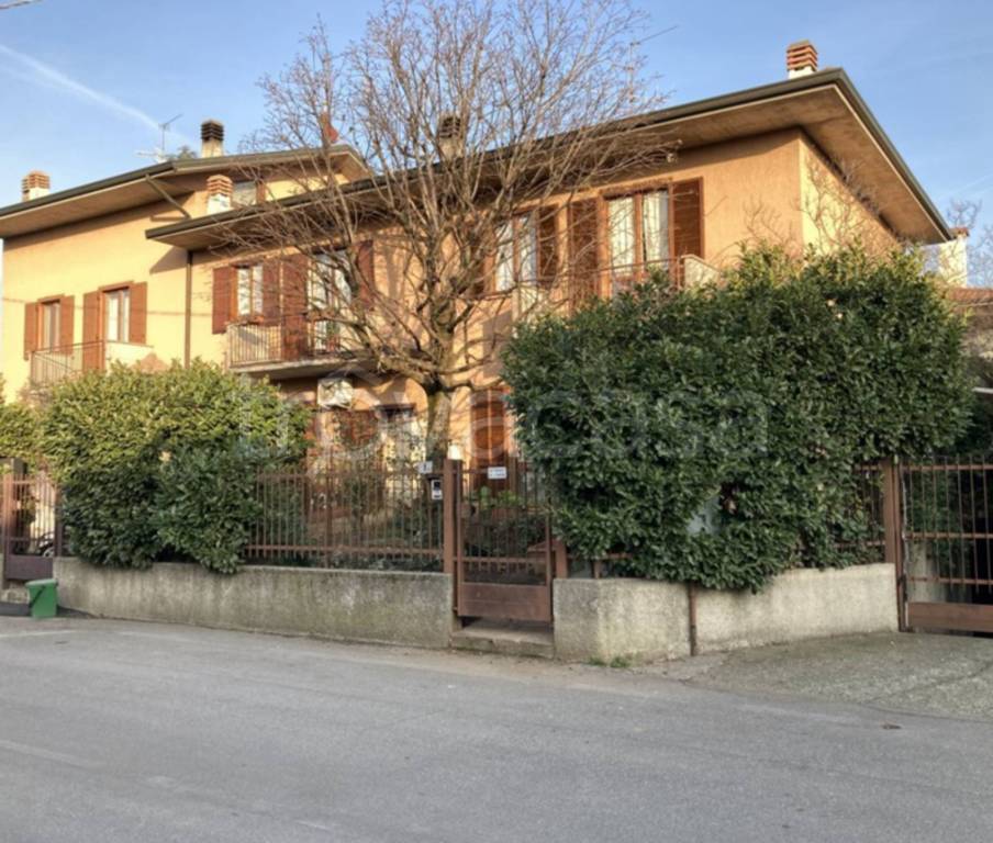 immagine annuncio 3 di 11