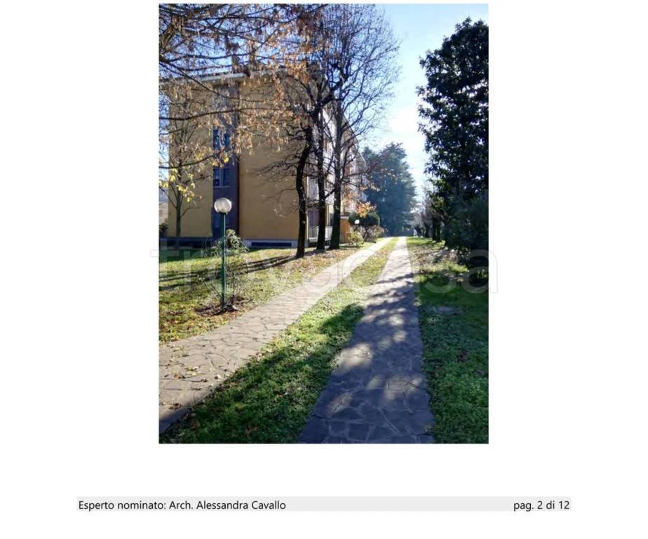 immagine annuncio 1 di 14