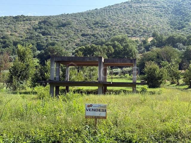 immagine annuncio 6 di 8