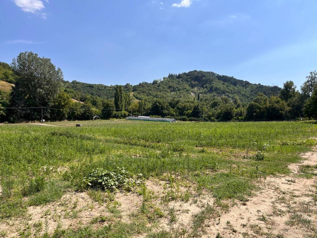 immagine annuncio 2 di 8