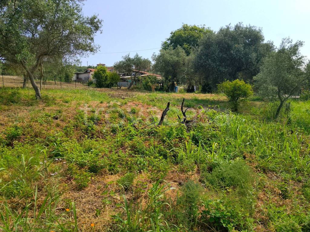 immagine annuncio 1 di 8