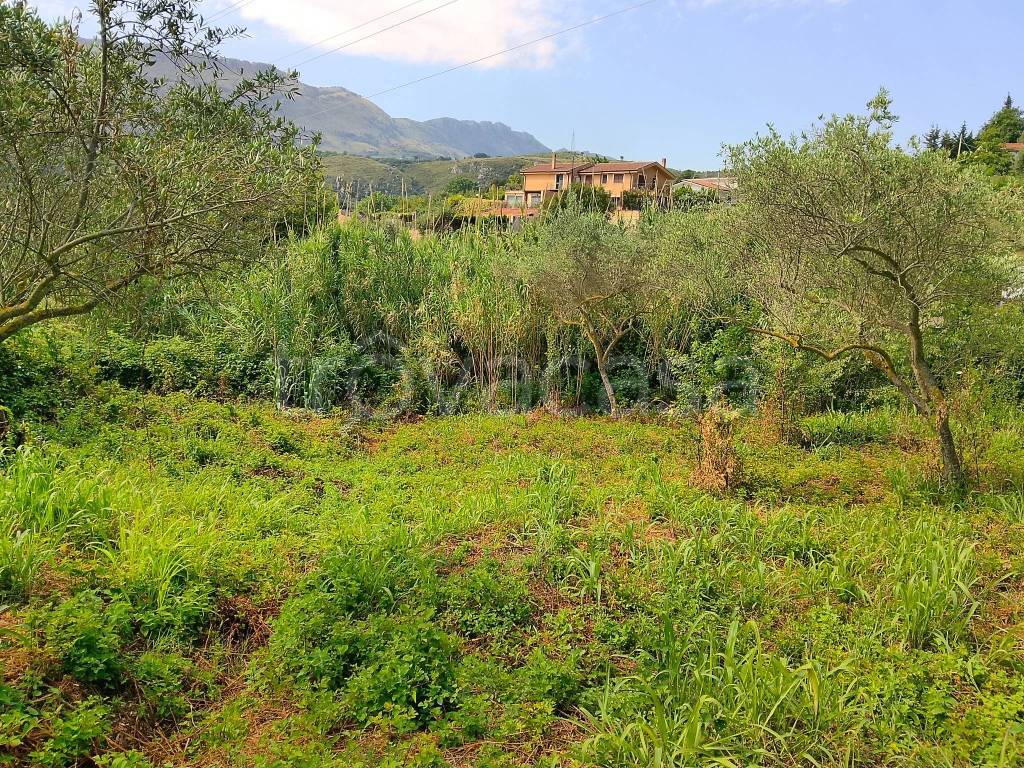 immagine annuncio 2 di 8