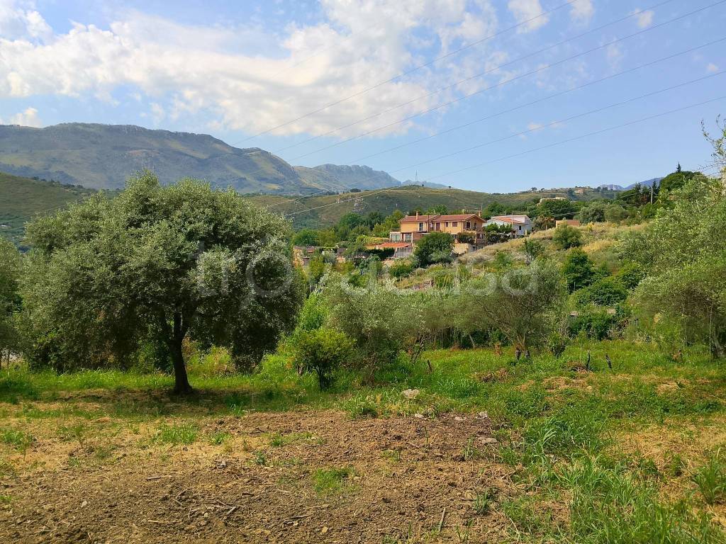immagine annuncio 6 di 8