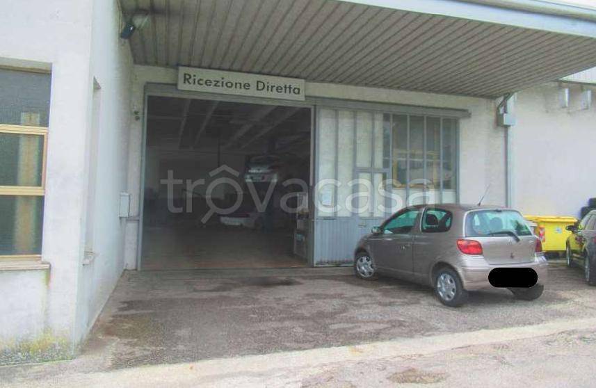 immagine annuncio 4 di 13