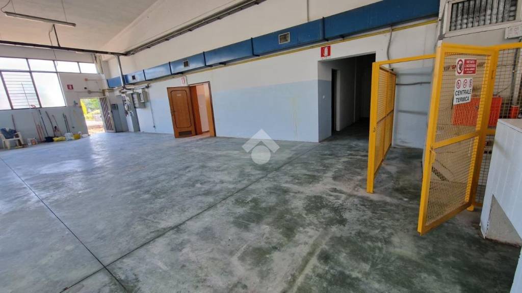 immagine annuncio 3 di 11