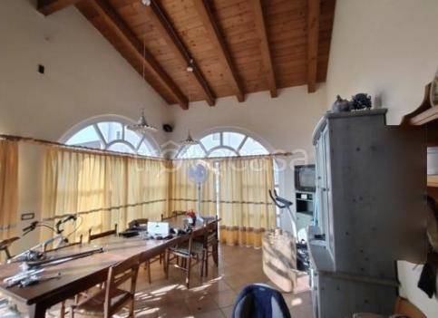 immagine annuncio 9 di 14
