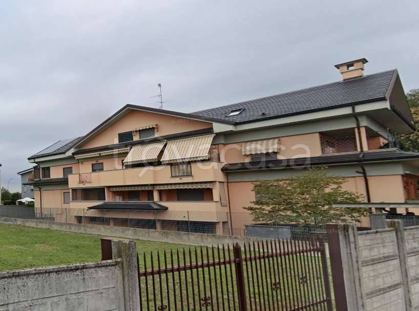 immagine annuncio 9 di 15