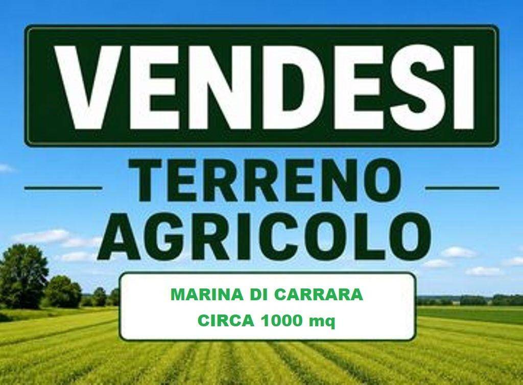 terreno agricolo in vendita a Carrara in zona Avenza
