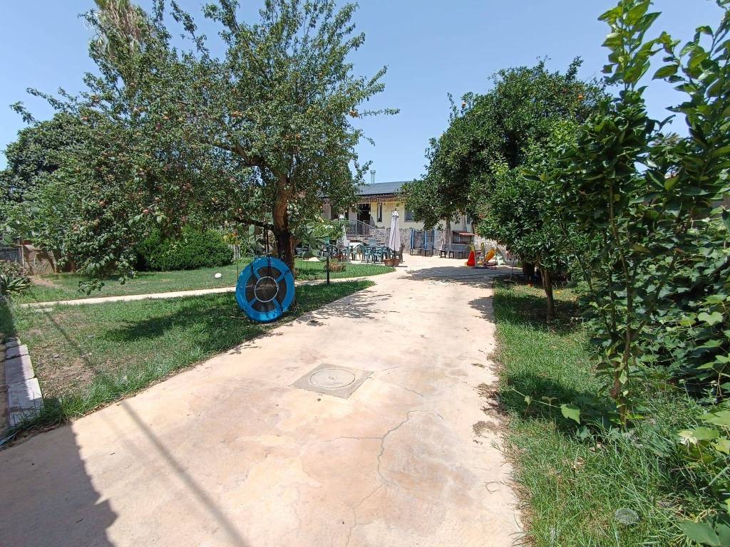 immagine annuncio 2 di 11
