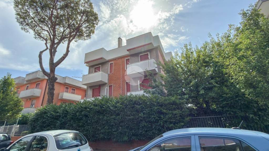 immagine annuncio 11 di 14
