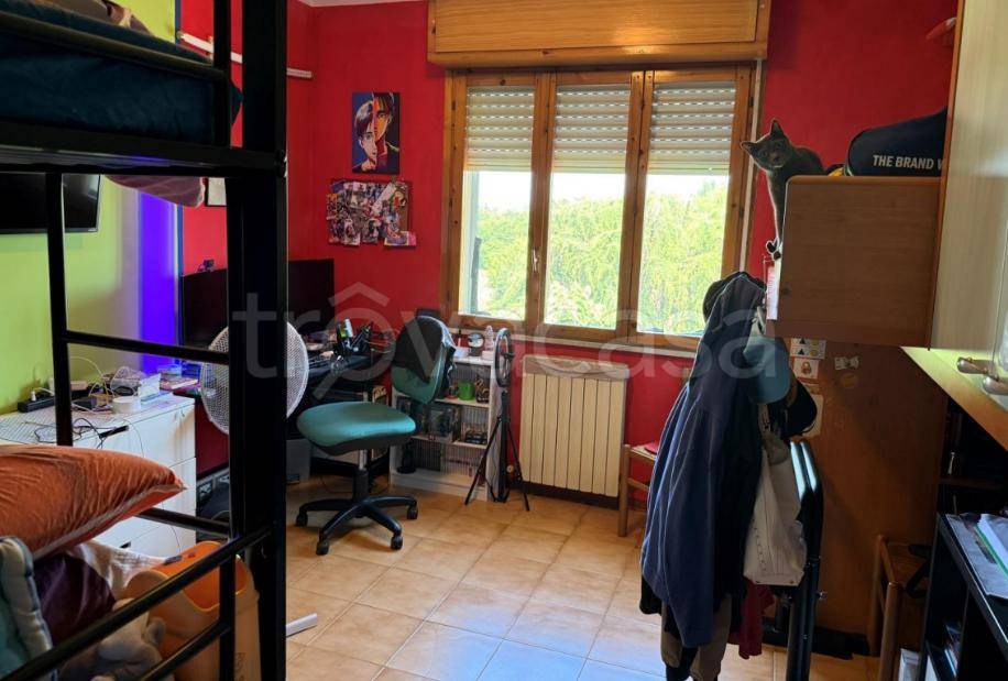 immagine annuncio 7 di 15