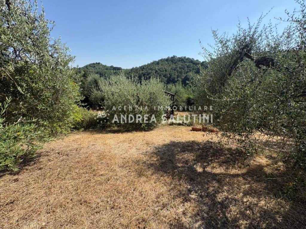 immagine annuncio 6 di 8