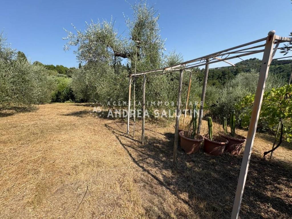 immagine annuncio 7 di 8