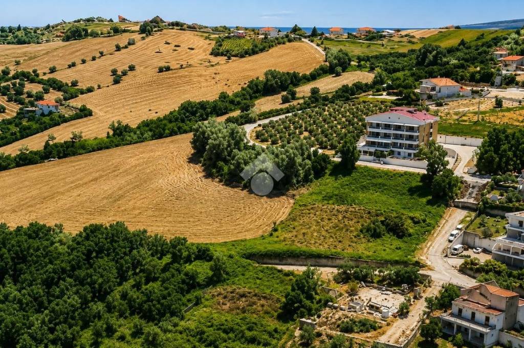 immagine annuncio 2 di 7