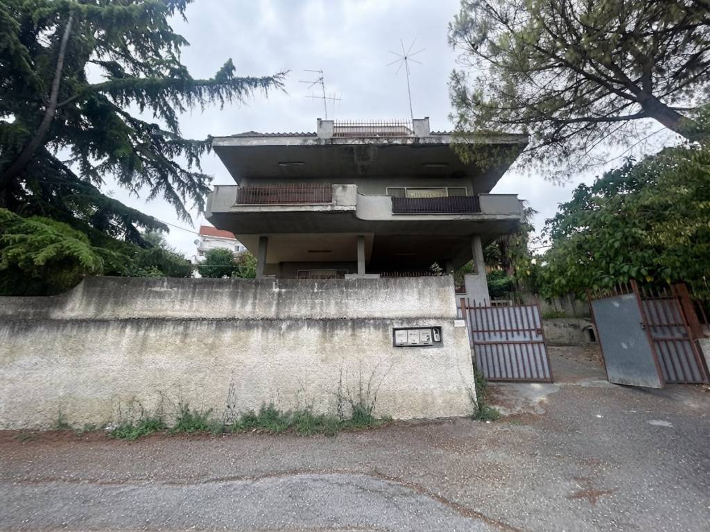 immagine annuncio 12 di 14