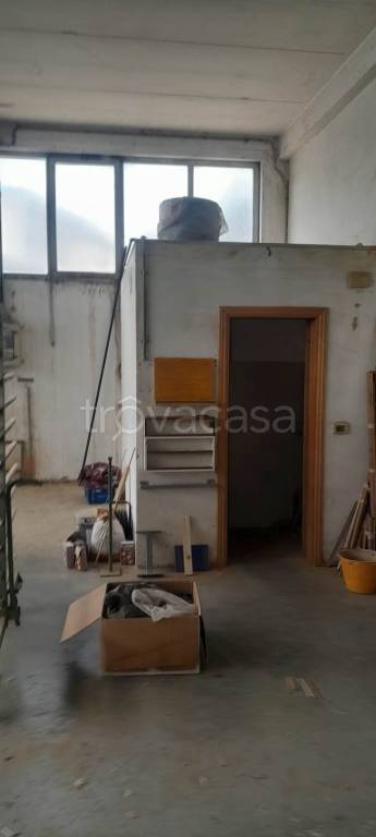 immagine annuncio 11 di 12