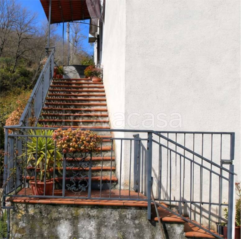 immagine annuncio 7 di 11