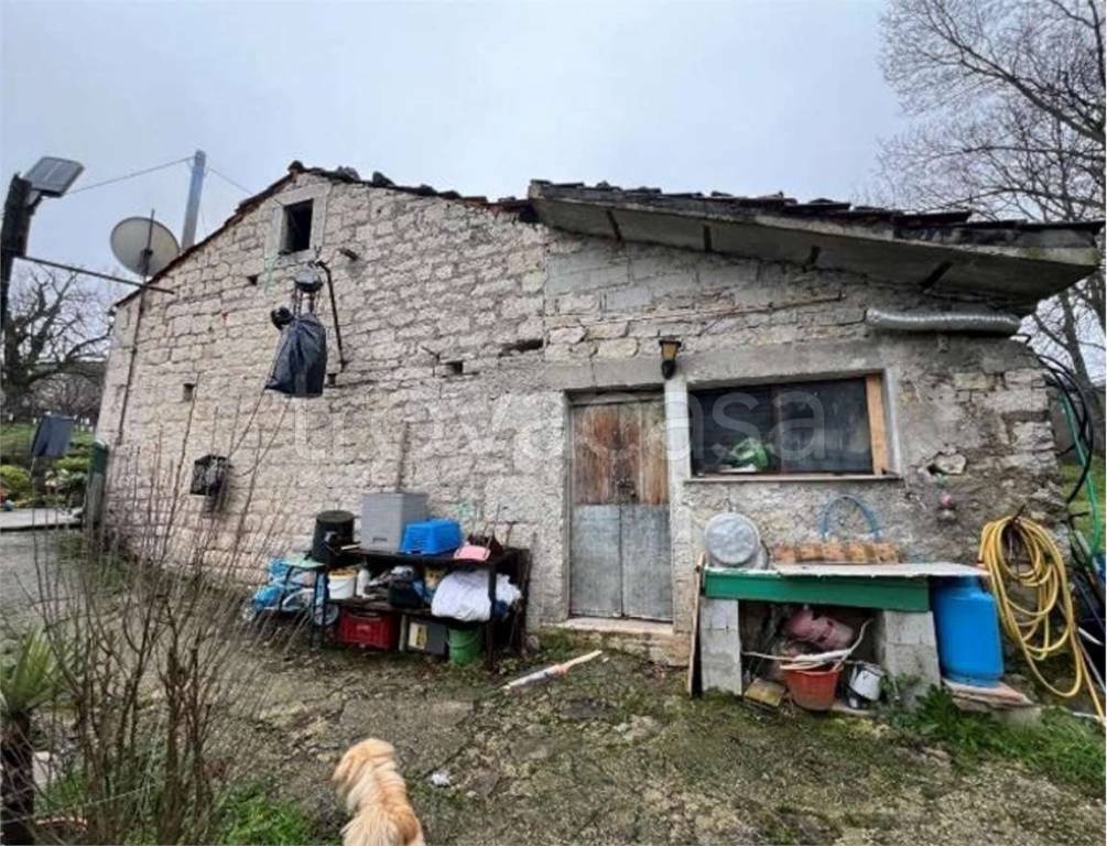 immagine annuncio 2 di 11
