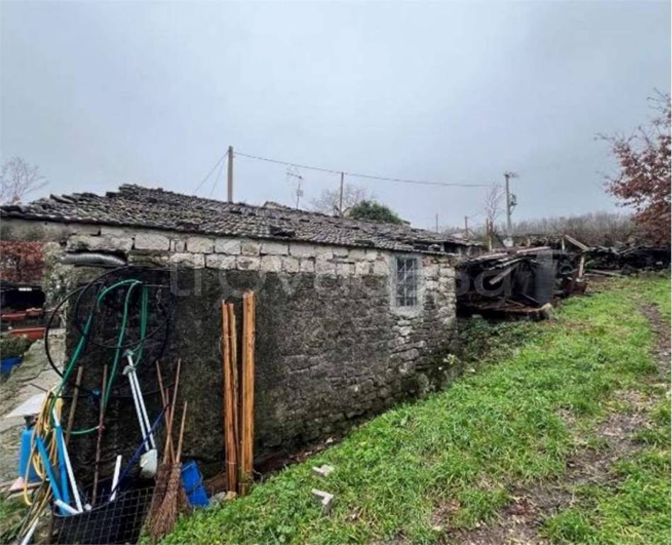 immagine annuncio 3 di 11