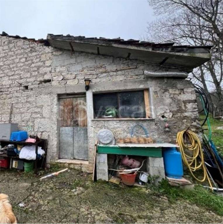 immagine annuncio 9 di 11