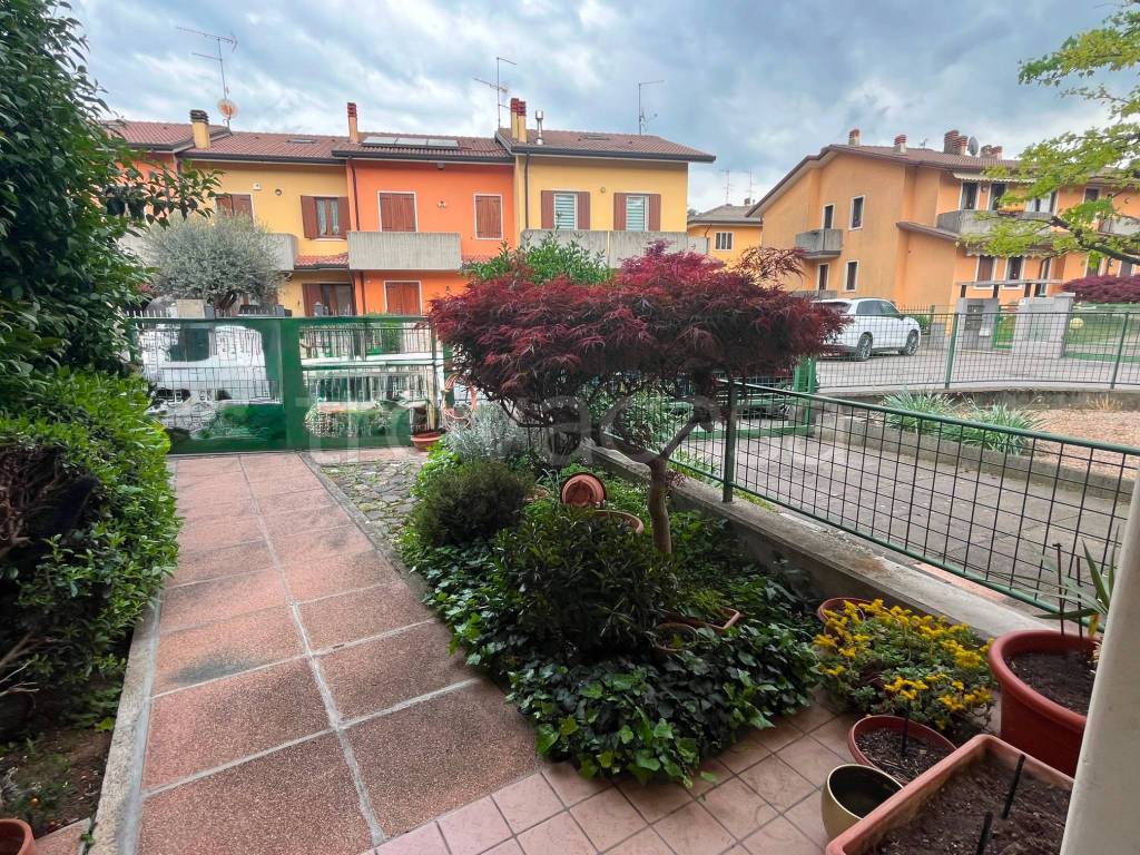 immagine annuncio 3 di 15