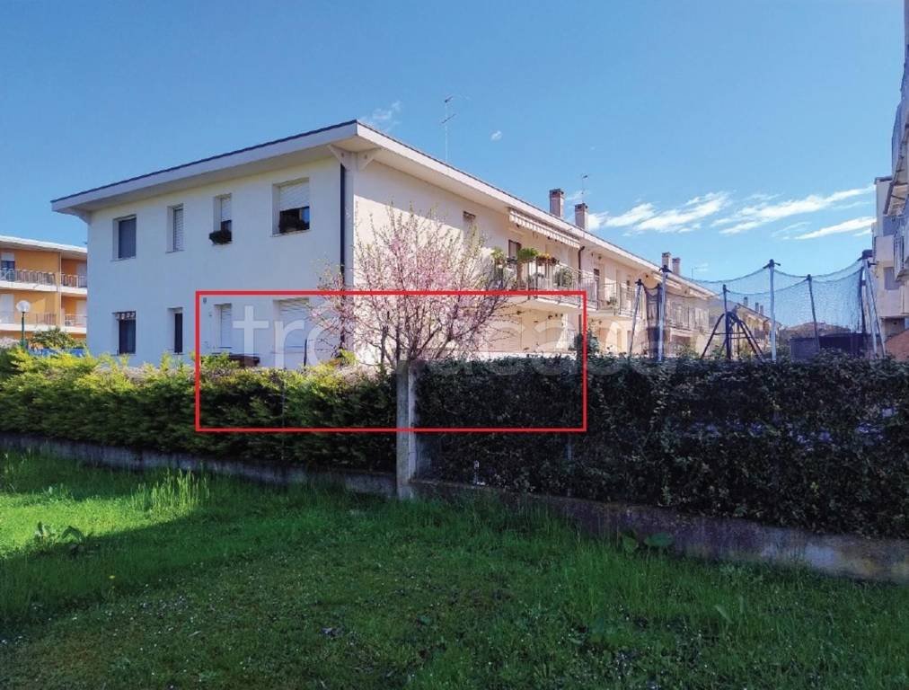 immagine annuncio 1 di 4