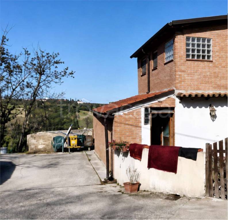 immagine annuncio 3 di 13