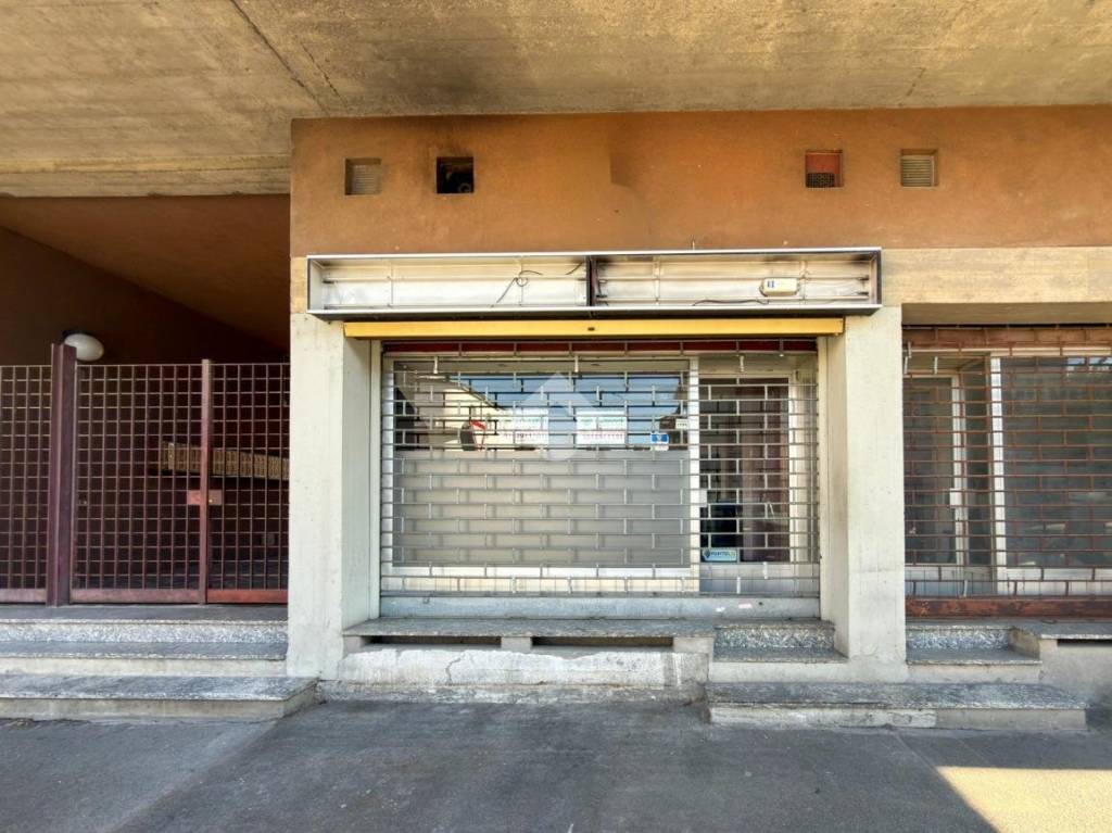 immagine annuncio 5 di 12